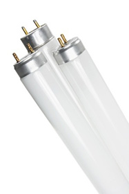Energy Efficient Light Bulbs services in Memphis FL for Commercial Remodeling and Construction