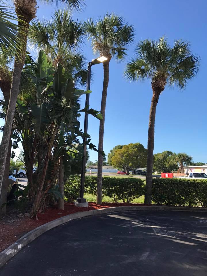 In Palm Harbor FL customers trust their Commercial Construction or Remodeling Project for Parking Lot Lighting Design to TCL Electrical and Lighting Services